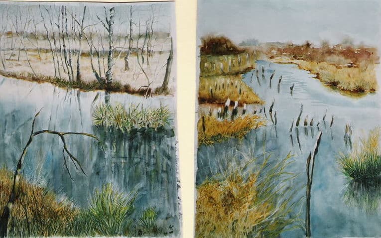 Aquarel door Aaltje — Tweedelig moerasland