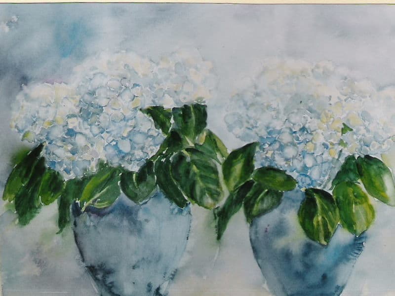 Aquarel door Aaltje — Hortensias in twee vazen