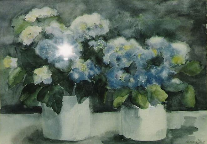 Aquarel door Aaltje — Blauwe hortensia in kannen