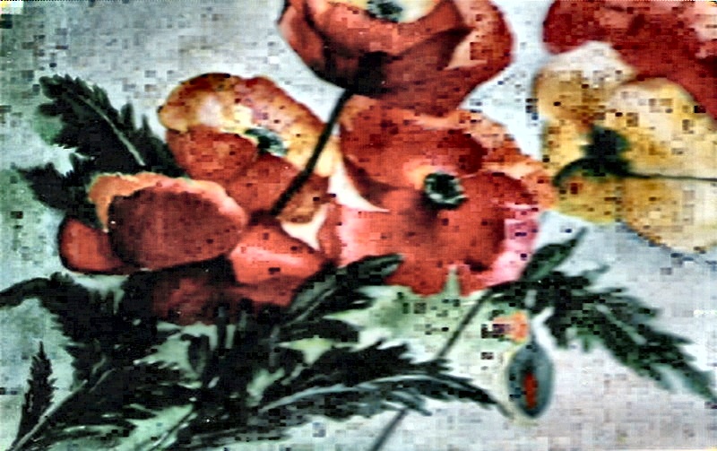 Watercolor by Alie — Poppies in red and orange